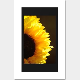 Sunflower, Sunflower Posters and Art